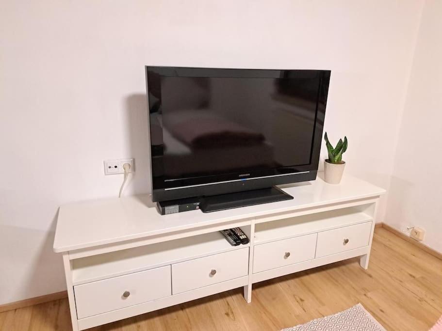 Ferienwohnung Zanier Gaissau  外观 照片